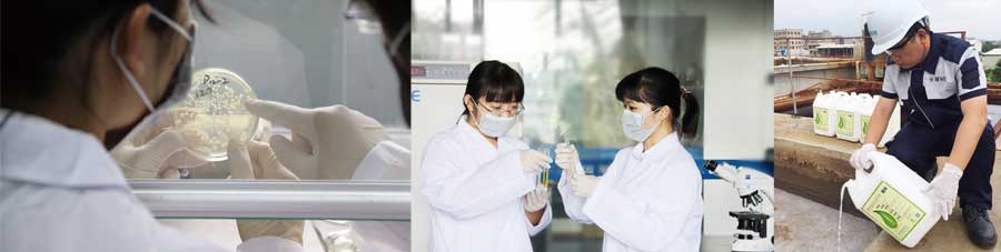 總氮菌-3天見效，15天達(dá)標(biāo)